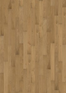 Reef Oak